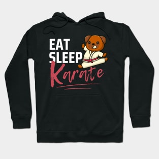 Eat Sleep Karate Hoodie